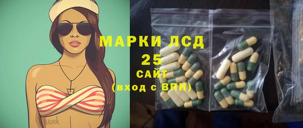 амф Дмитриев