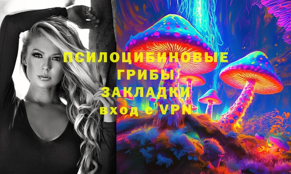 гашик Гусь-Хрустальный