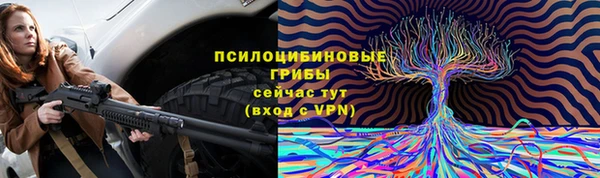 амф Дмитриев