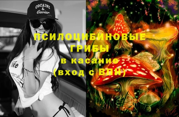 прущая мука Дмитровск