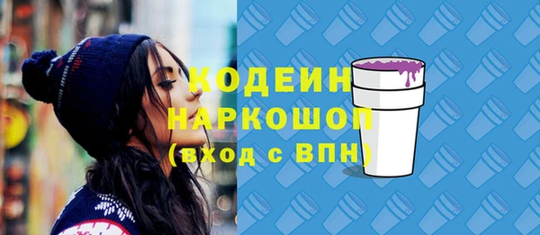 гашик Гусь-Хрустальный